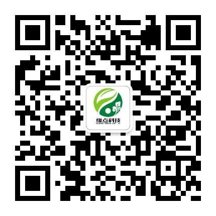 关注我们
