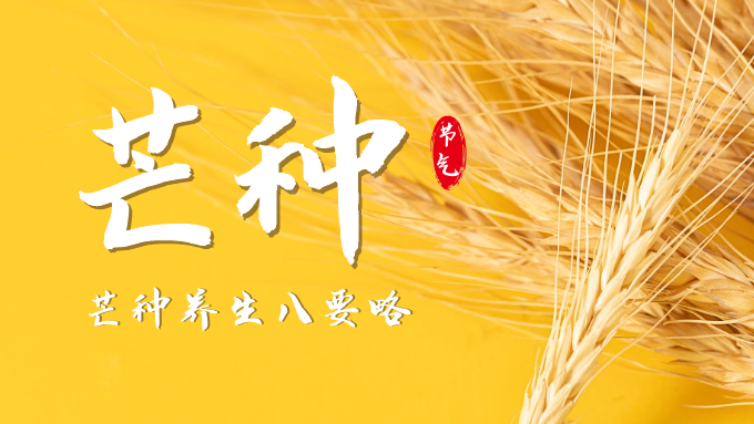 芒种养生八要略