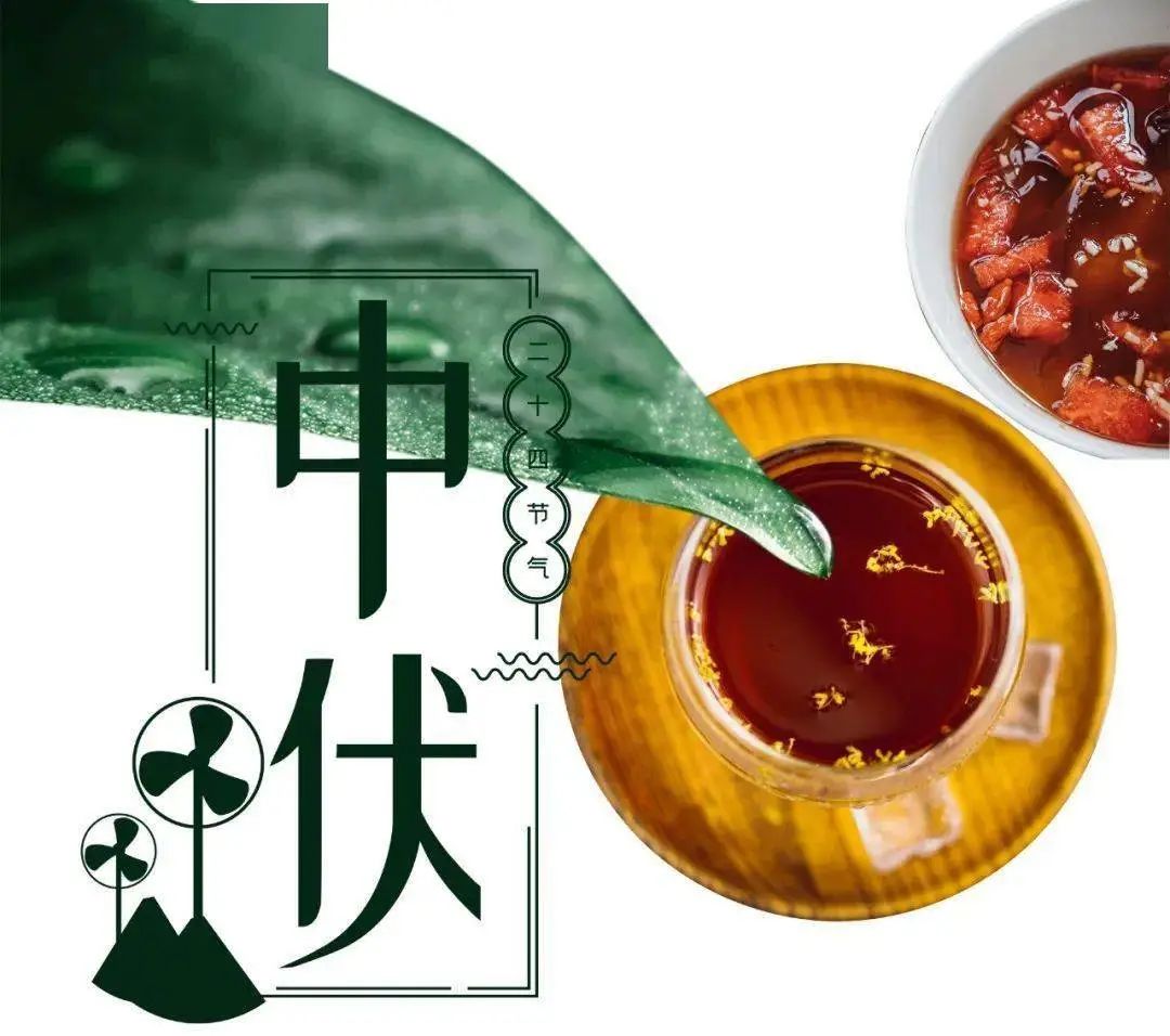 “缘点科技”提醒您，中伏来啦 | 这些疾病不得不防！