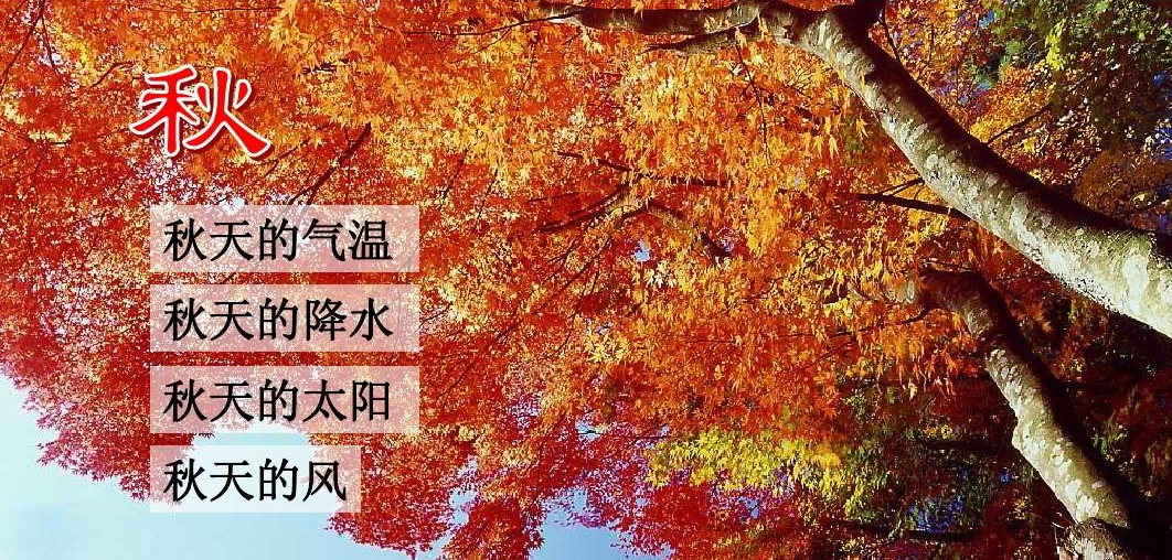 “缘点科技”告诉您，秋季养生，就喝羊奶！
